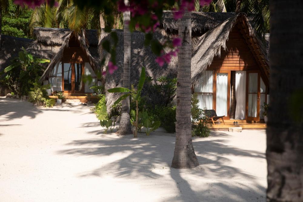 81 Palms Resort 넴브랄라 객실 사진